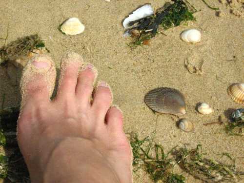 Foot on sandy beach
