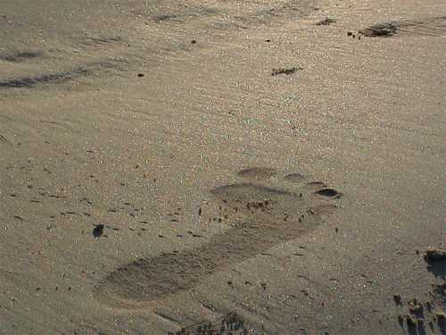 Footprint on sandy beach